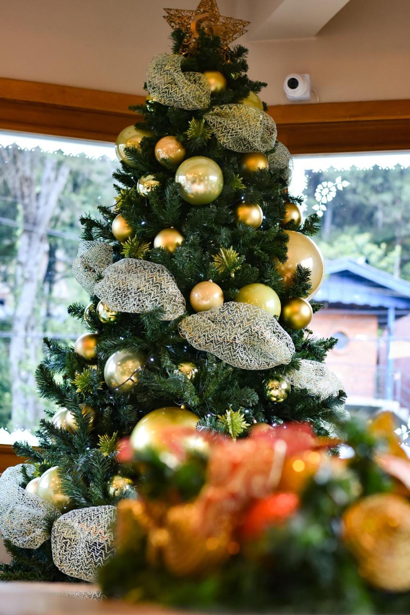 Pousada Boro Gramado Esterno foto